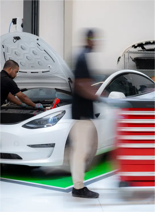 الجودة أولاً